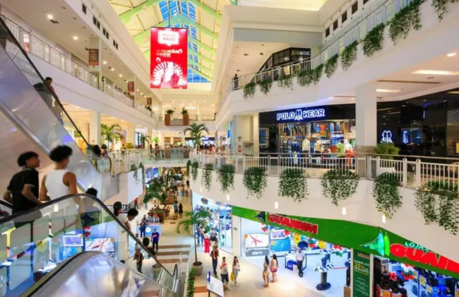 Imagem ilustrativa da imagem 