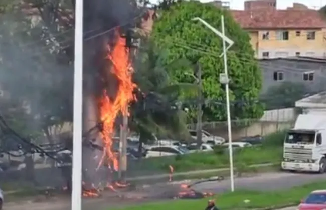 Imagem ilustrativa da imagem 