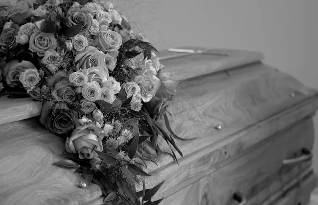 Imagem ilustrativa da imagem 