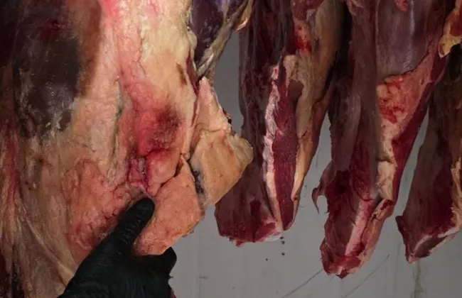 Imagem ilustrativa da imagem 