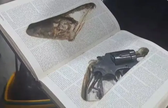 Imagem ilustrativa da imagem 