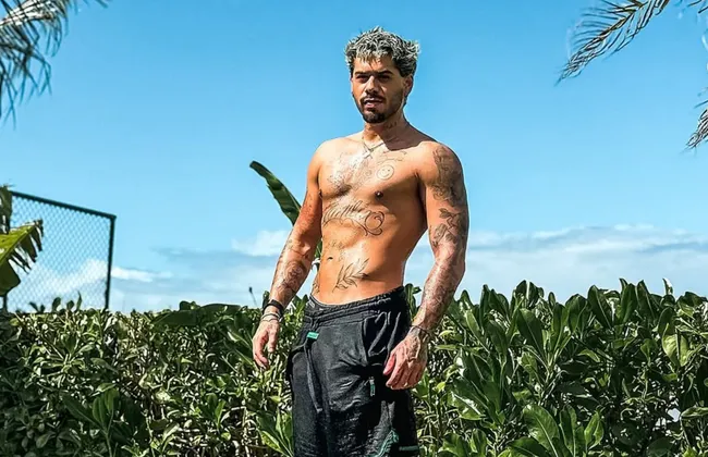 Imagem ilustrativa da imagem 