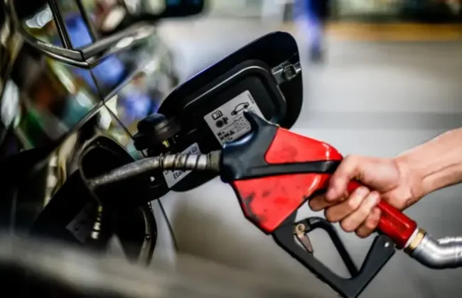 Imagem ilustrativa da imagem 