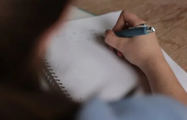 Imagem ilustrativa da imagem 