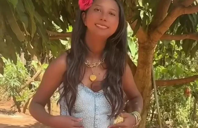 Imagem ilustrativa da imagem 