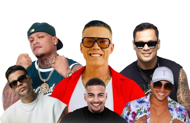 Imagem ilustrativa da imagem 