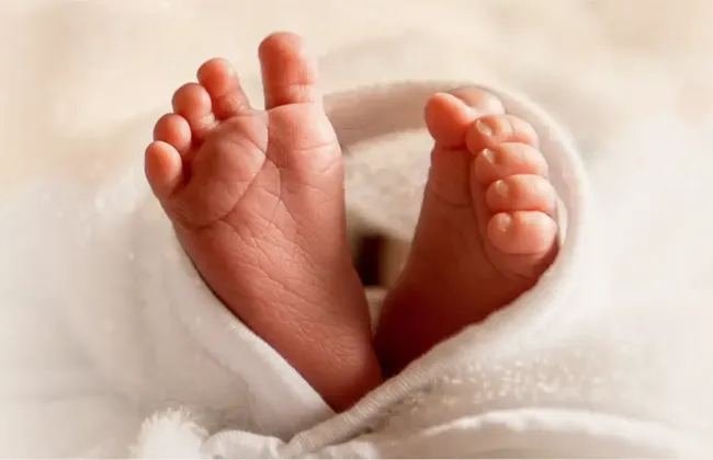 Imagem ilustrativa da imagem 