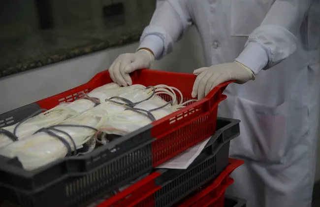 Imagem ilustrativa da imagem 