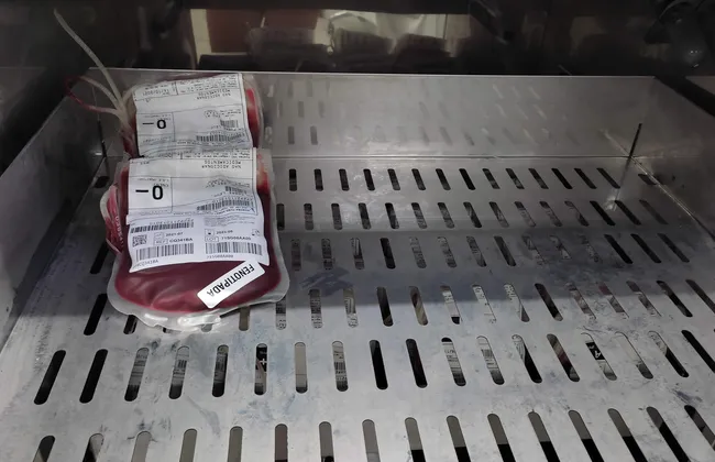 Imagem ilustrativa da imagem 