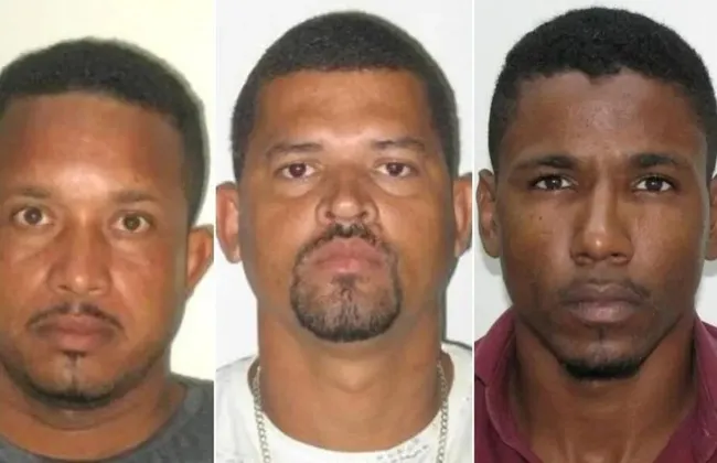 Imagem ilustrativa da imagem 