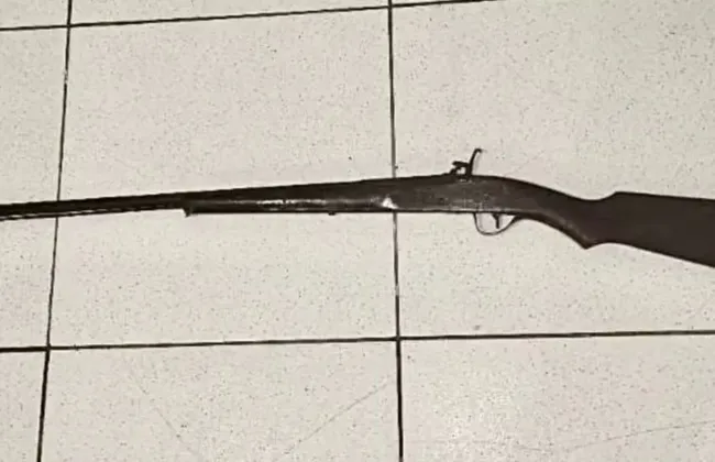 Imagem ilustrativa da imagem 