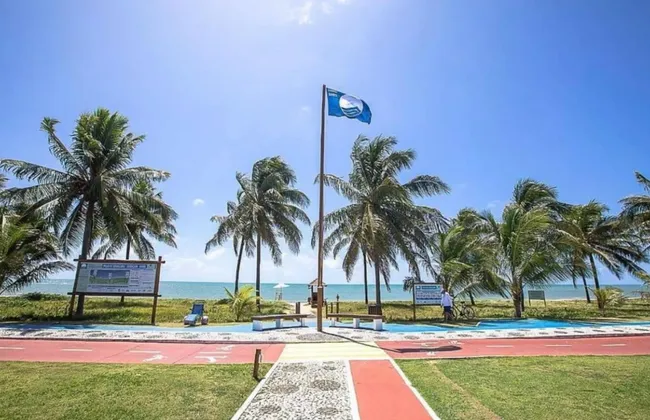 Imagem ilustrativa da imagem 