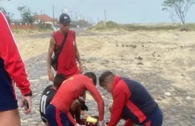 Imagem ilustrativa da imagem 