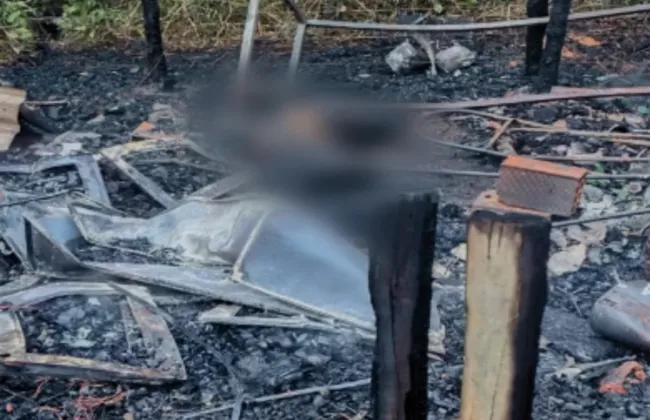 Imagem ilustrativa da imagem 