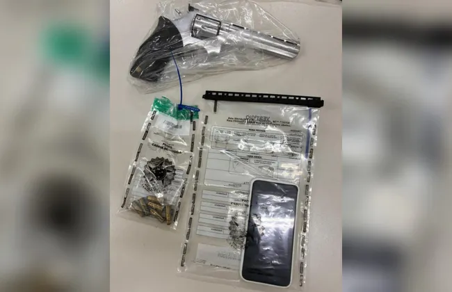 Imagem ilustrativa da imagem 