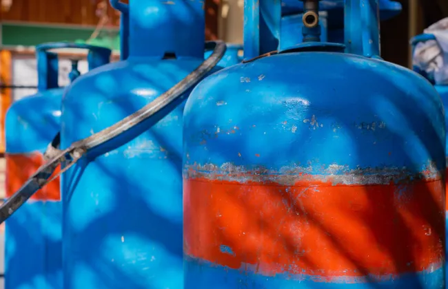 Imagem ilustrativa da imagem 