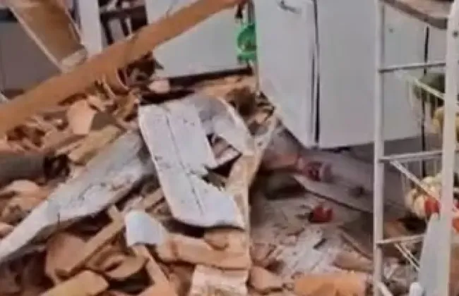 Imagem ilustrativa da imagem 