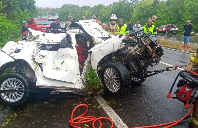 Imagem ilustrativa da imagem 