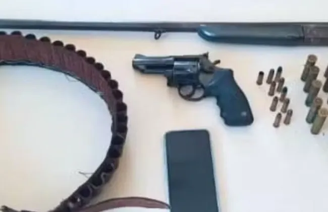 Imagem ilustrativa da imagem 