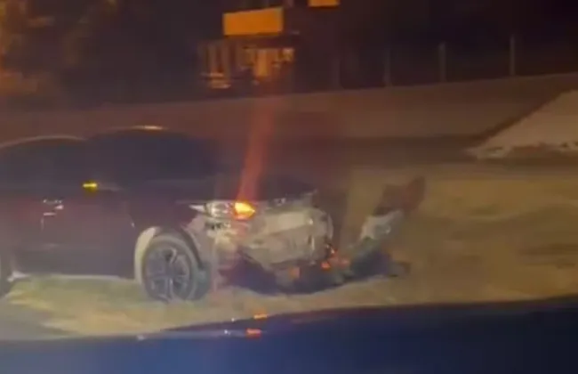 Imagem ilustrativa da imagem 