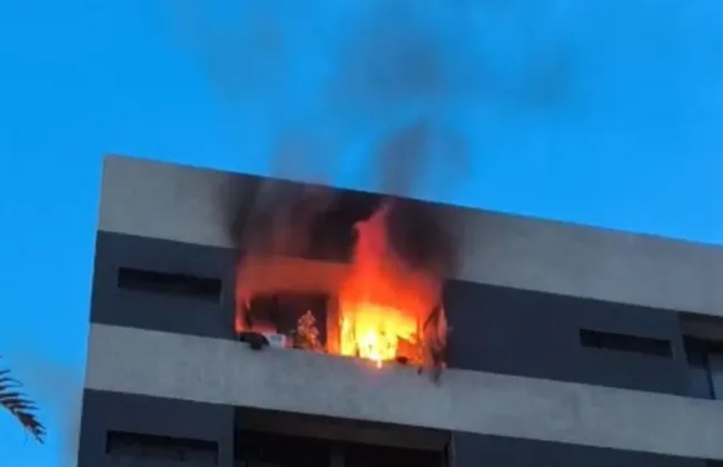 Imagem ilustrativa da imagem 