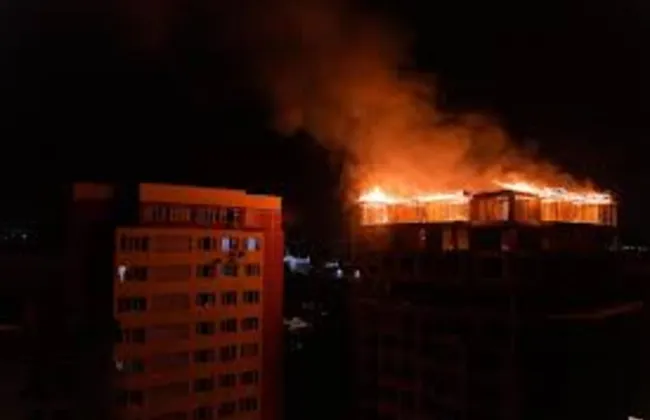 Imagem ilustrativa da imagem 