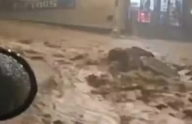 Imagem ilustrativa da imagem 