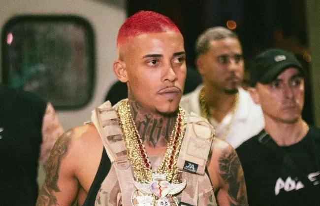 Imagem ilustrativa da imagem 