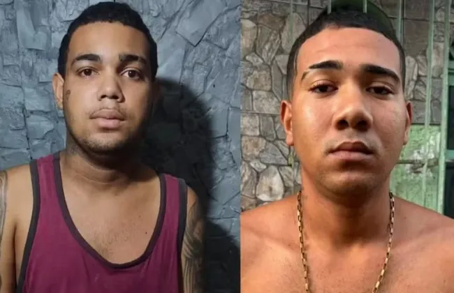 Imagem ilustrativa da imagem 