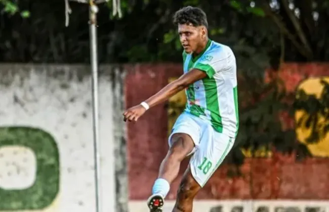 Imagem ilustrativa da imagem 