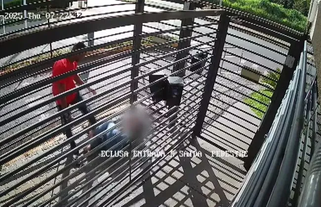 Imagem ilustrativa da imagem 