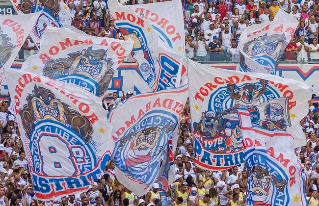 Imagem ilustrativa da imagem 