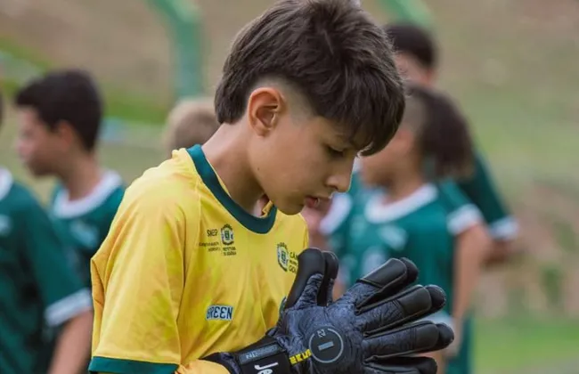 Imagem ilustrativa da imagem 