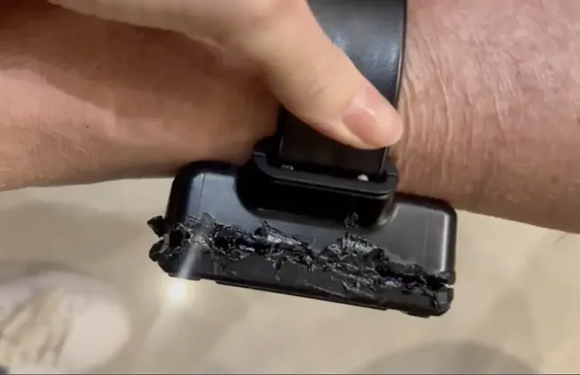 Imagem ilustrativa da imagem 