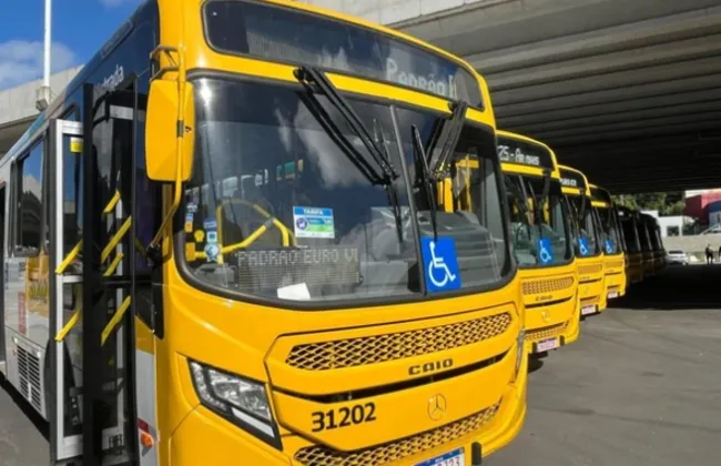 Imagem ilustrativa da imagem 