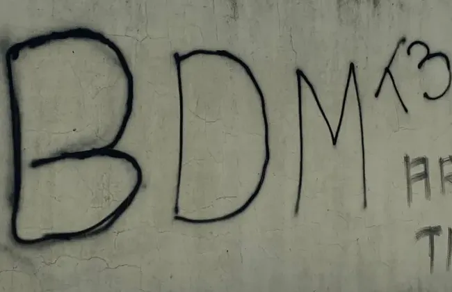 Imagem ilustrativa da imagem 