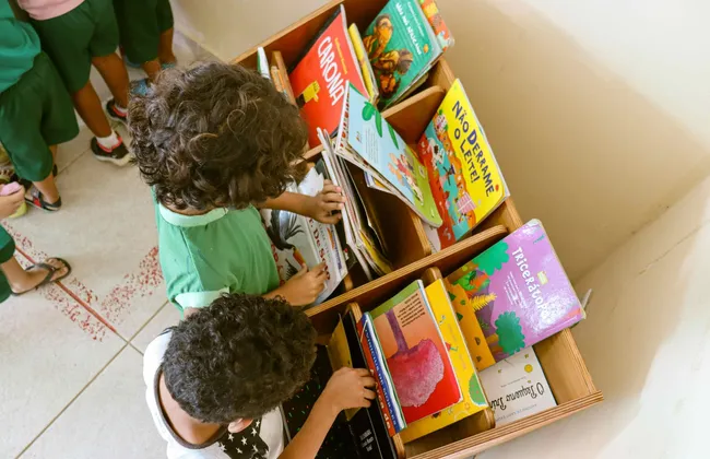 Imagem ilustrativa da imagem 