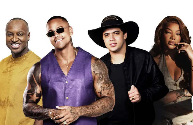 Imagem ilustrativa da imagem 