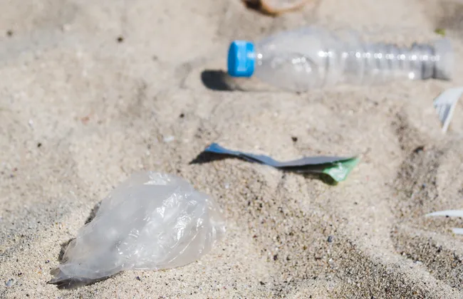 Imagem ilustrativa da imagem 