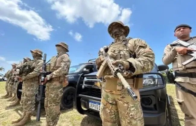 Imagem ilustrativa da imagem 