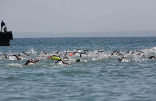 Imagem ilustrativa da imagem 