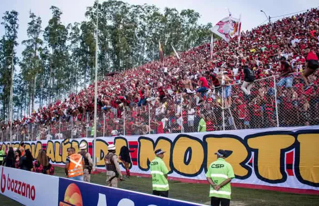 Imagem ilustrativa da imagem 