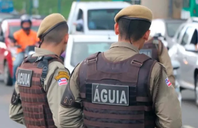 Imagem ilustrativa da imagem 