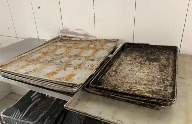 Imagem ilustrativa da imagem 