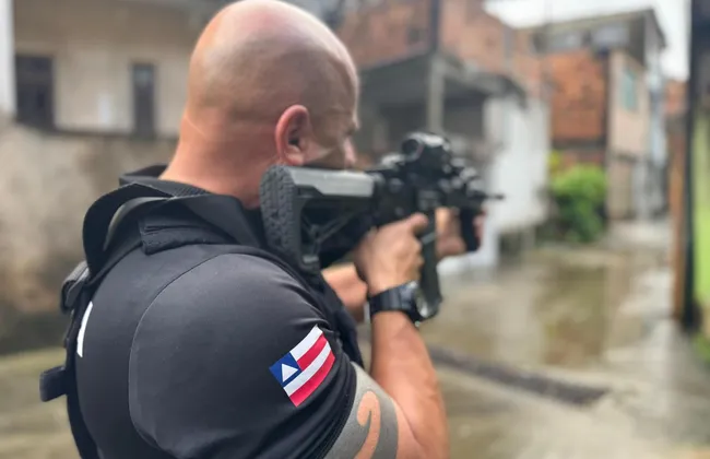 Imagem ilustrativa da imagem 