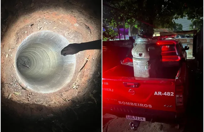 Imagem ilustrativa da imagem 