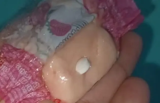 Imagem ilustrativa da imagem 