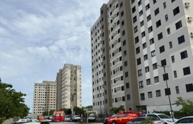 Imagem ilustrativa da imagem 