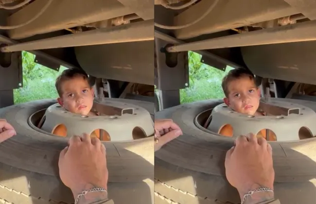 Imagem ilustrativa da imagem 