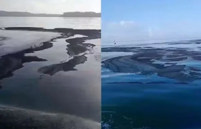 Imagem ilustrativa da imagem 